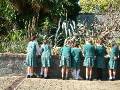 Cactus garden - schoolkids